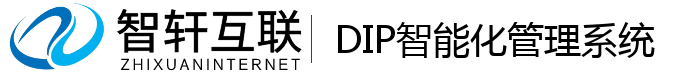 DIP智能化管理系统
